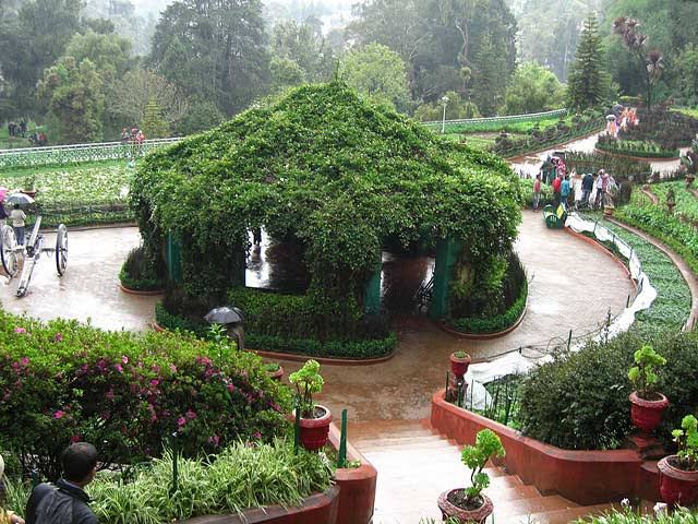 Ooty Tour Package